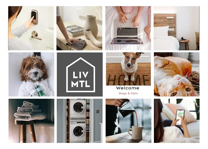 Liv Mtl Chic